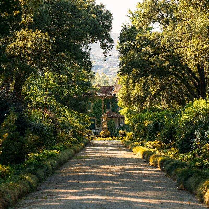Prova de vinho na Quinta da Aveleda o refúgio para abrandar