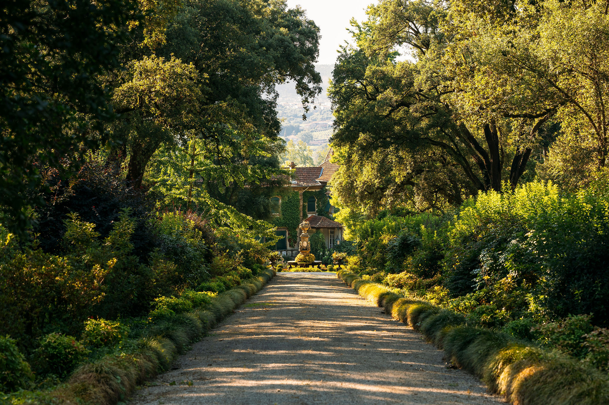 Prova de vinho na Quinta da Aveleda o refúgio para abrandar